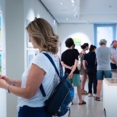 Mostra di Tony Wolf al PAFF! di Pordenone