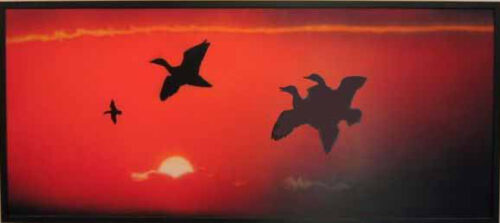 Birds - Opera di Lorenzo Lazzari