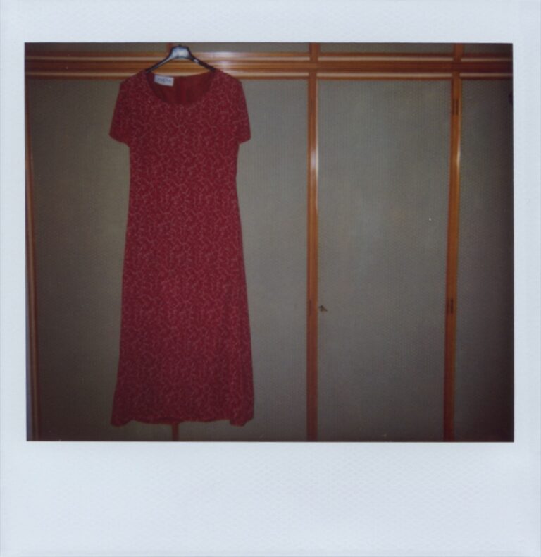 Vestito rosso - Opera di french