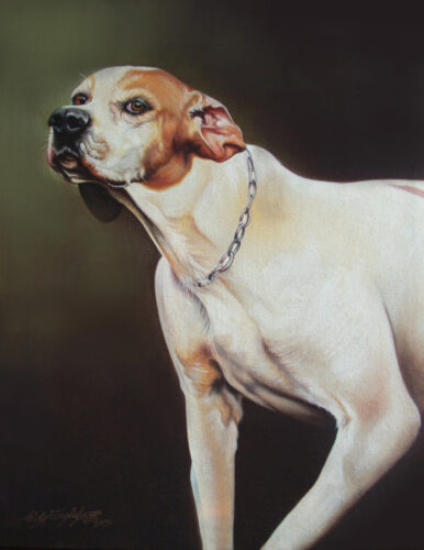 Pointer - Opera di Paolo Tagliaferro