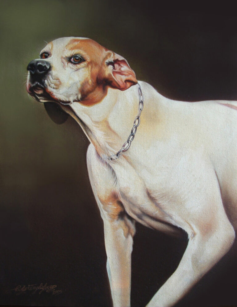 Pointer - Opera di Paolo Tagliaferro