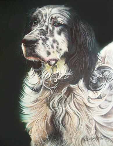 Setter inglese - Opera di Paolo Tagliaferro