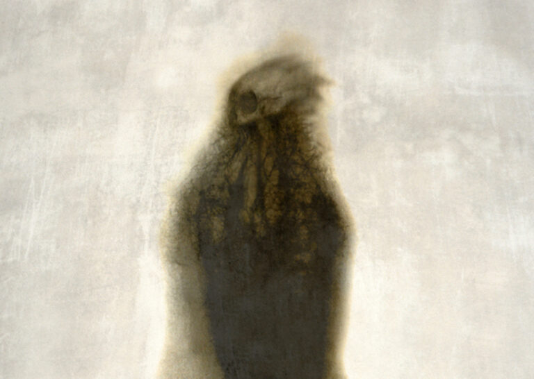 Banshee - Opera di David Fragale