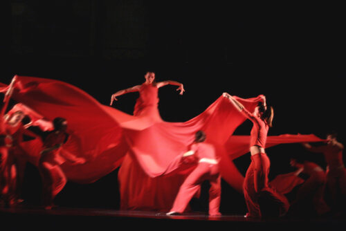 Senza titolo - Opera di Samantha Mailloli