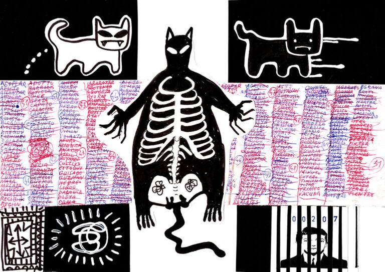 Gato - Opera di Claudio Arisi