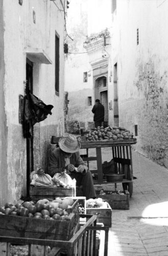 Image5 - Opera di Marco Lionetto