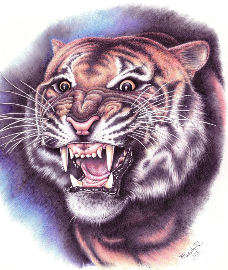 Tigre - Opera di Roberto Fiaschi