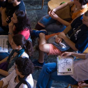 Il pubblico
