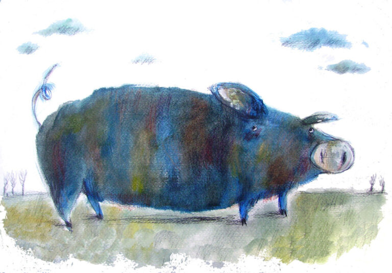 Porcobl 2008 30×50 acquarel - Opera di Marina Girardi