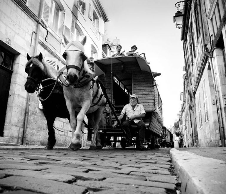 Cirque Bidon per le strade di parma