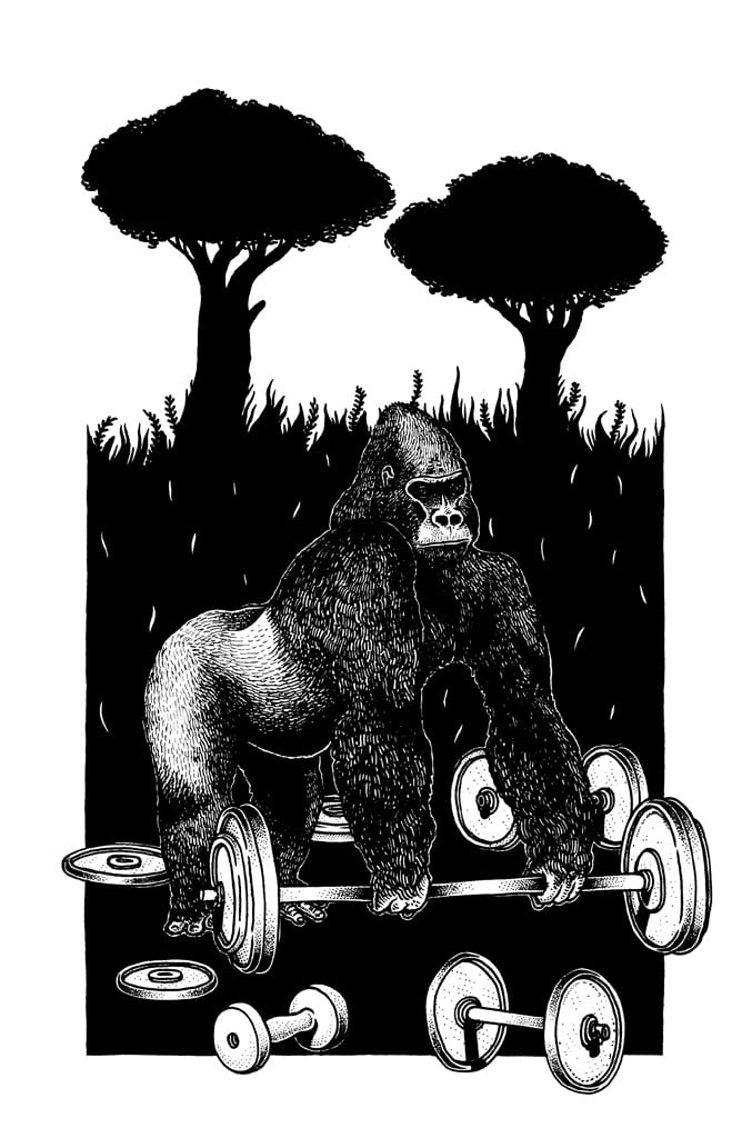 Alessandro Ripane