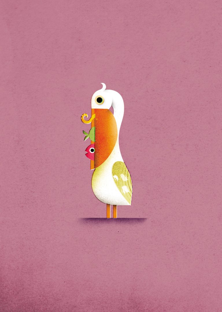 Pellicano - Illustrazione di Philip Giordano