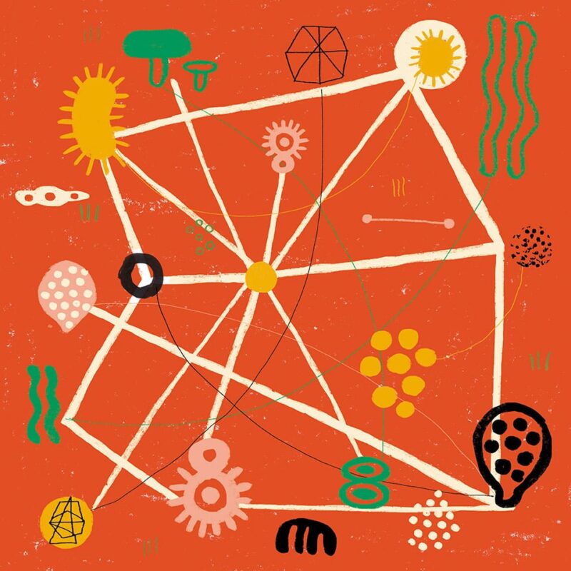 Pillole di Chimica - La lingua più parlata al mondo - Illustrazione di Giulia Pastorino per Calendario Torchiani 2018