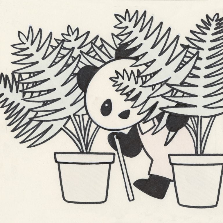 Pandi esploratore - Illustrazione di Tony Wolf