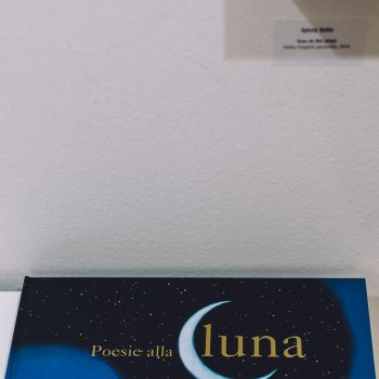 Flux - Mostra di Sylvie Bello
