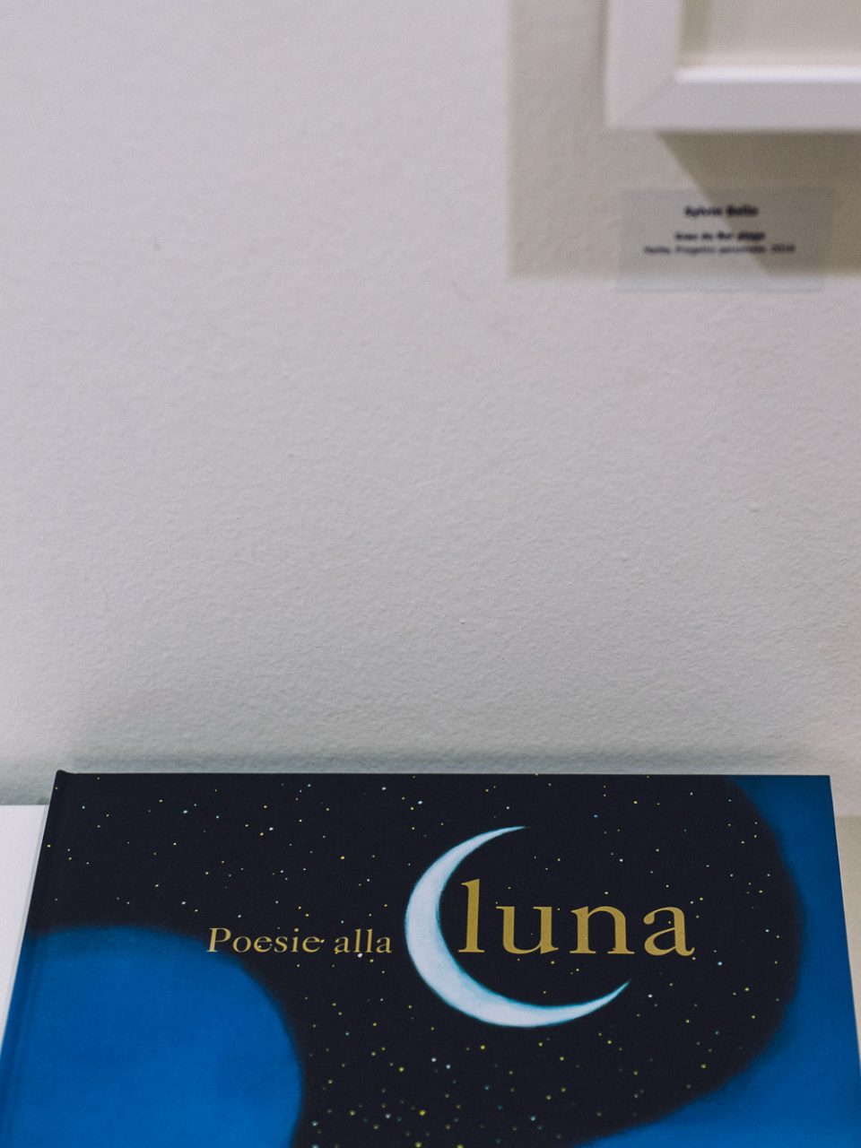 Flux - Mostra di Sylvie Bello
