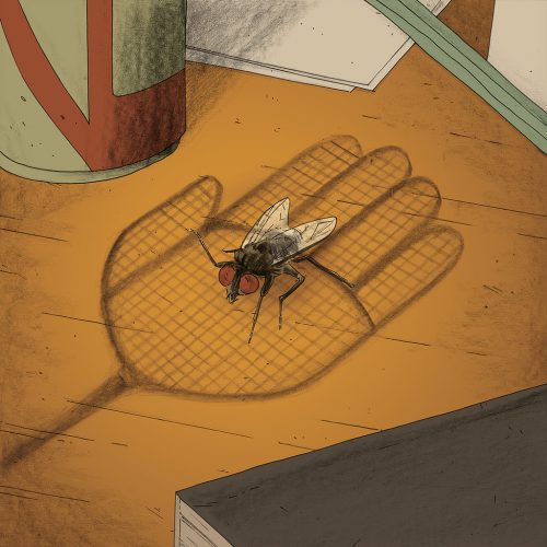 Illustrazione di Giovanni Scarduelli