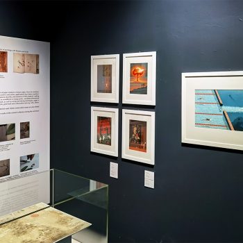 Allestimento della mostra Twist di Davide Bonazzi al Museo Garda di Ivrea