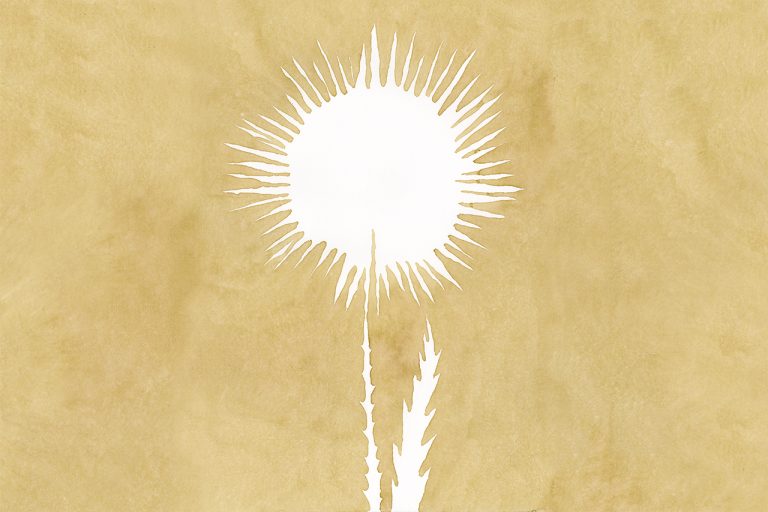 Guido Scarabottolo - Utopia - Fiore 12