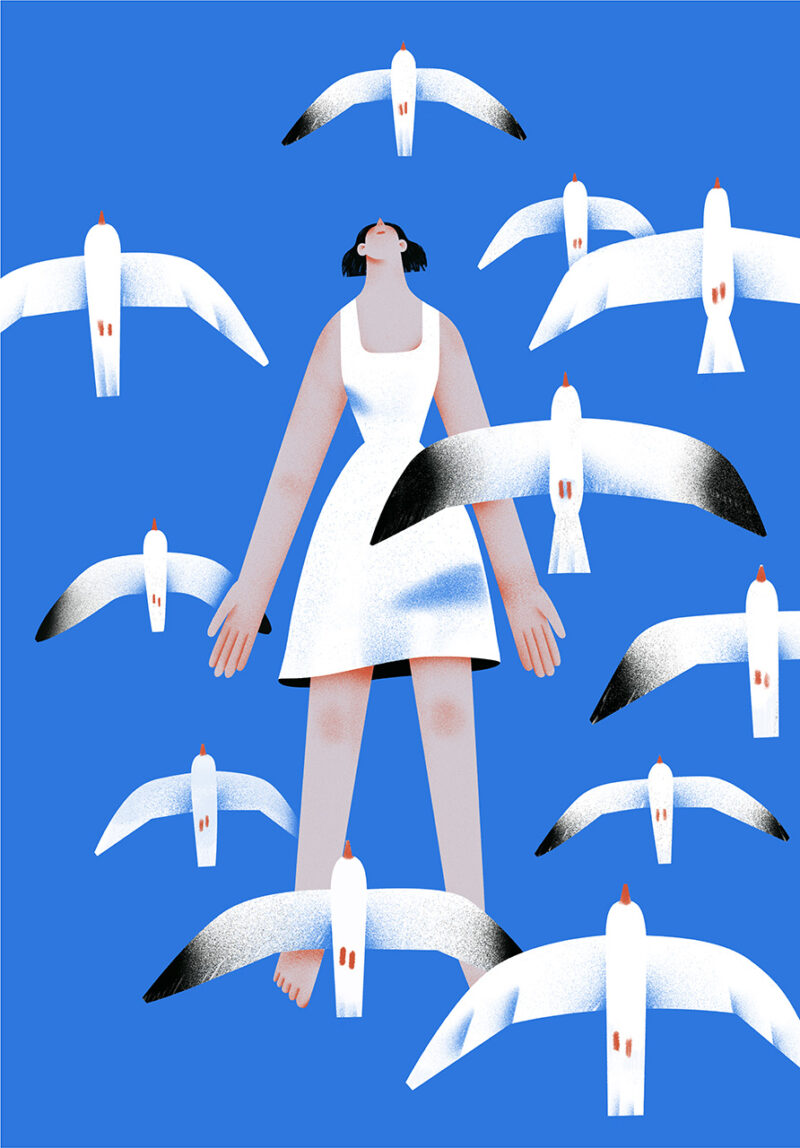 Fly